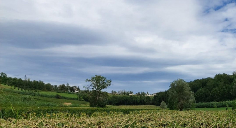 «L’arrivo della pioggia salva campi e tavole ma senza pace le semine presto saranno dimezzate»